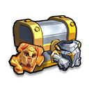 Gen 4 Combat Award